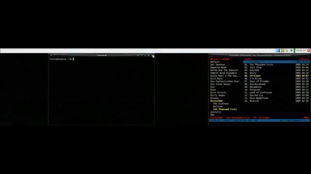 Arch Linux/Compiz-Fusion Demo смотреть онлайн