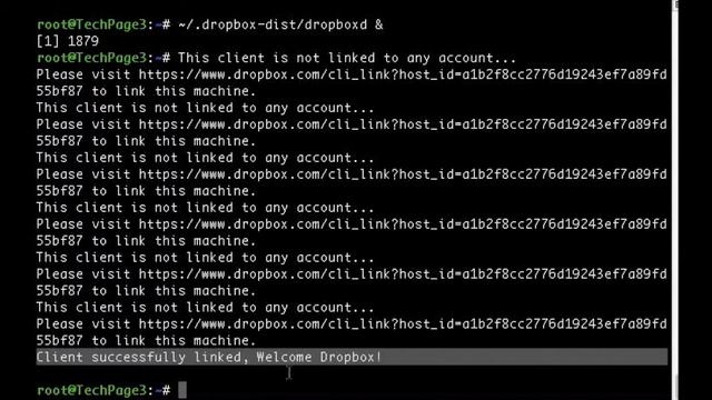 Installing Dropbox on Headless Linux Server (With Audio) смотреть онлайн