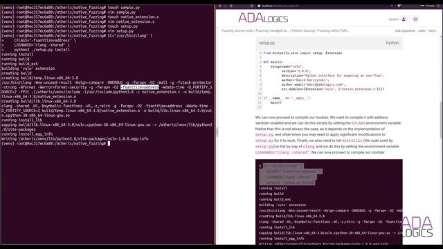 Fuzzing native Python extensions with Atheris смотреть онлайн