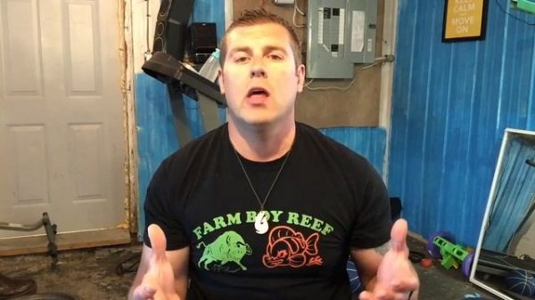 Apple watch review health app  lifesum