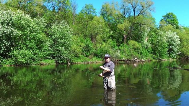 Skagit забросы, с чего начать 2 часть. Perry poke смотреть онлайн