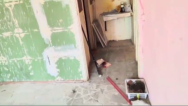 Нежилое помещение 50:09:0080101:544 площадью 32,3 кв.м, расположенное по адрес смотреть онлайн