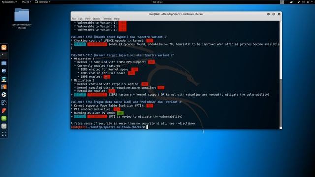 Spectre Meltdown Checker | Kali Linux 2017.3 смотреть онлайн