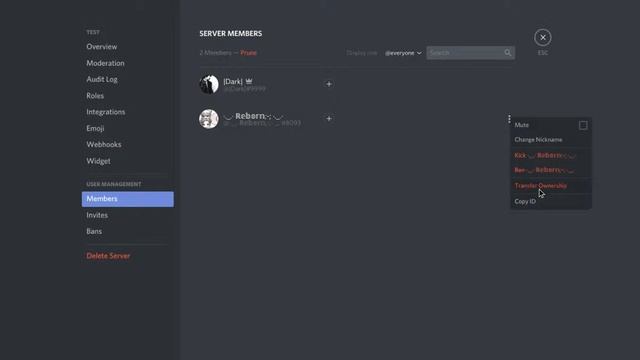 how to transfer ownership on discord C: смотреть онлайн