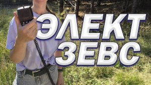 СГУ Элект ЗЕВС 200П6