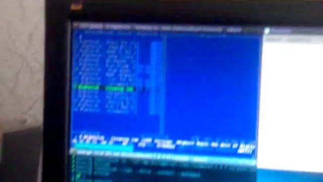 Gentoo is beautiful.. смотреть онлайн