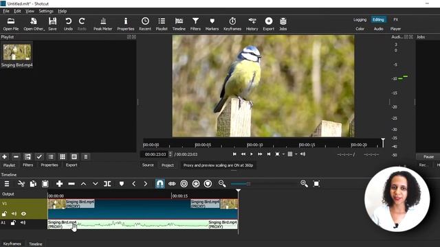 How to DETACH AUDIO from VIDEO in SHOTCUT - SEPARATE AUDIO from VIDEO - EXTRACT AUDIO from VIDEO смотреть онлайн