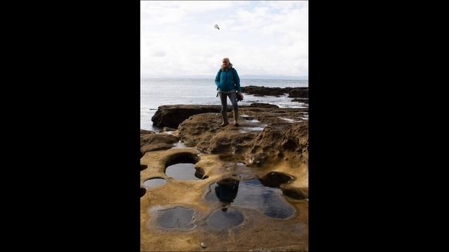 Photolemur 3 - Review and photo examples смотреть онлайн