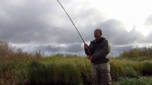 Приключения Максима на Сахалине.