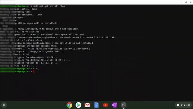 Official Linux on Chromebooks (NEW UPDATED VIDEO in description!) смотреть онлайн