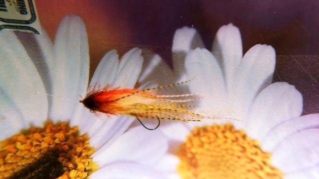 Кинг-ГнутышЪ, поведение стримера в воде. смотреть онлайн