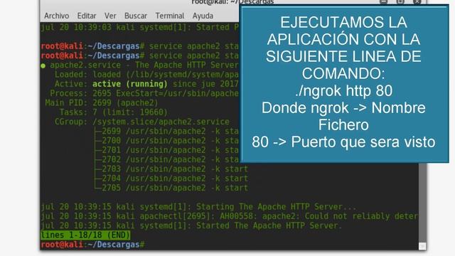 [NGROK] Servidor Local a Internet - Ngrok[KALI LINUX] смотреть онлайн