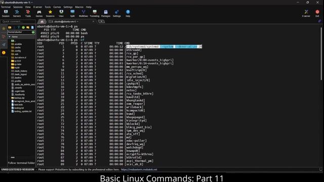 Become a Linux Pro: Part-19 | Master the Command Line | Unlocking: ps -ef смотреть онлайн
