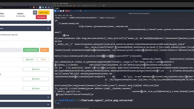 agent sudo tryhackme walkthrough • free cyber ctf training for beginners • tryhackme room guide смотреть онлайн