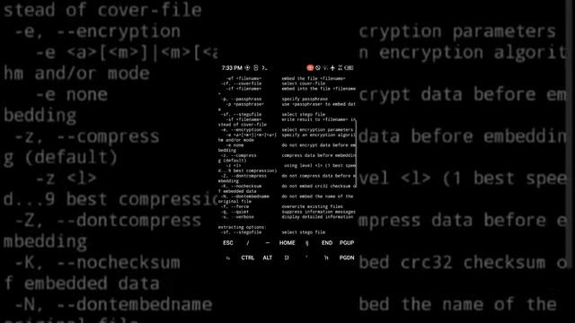 Steganography | what is steghide? | Malayalam #termux смотреть онлайн