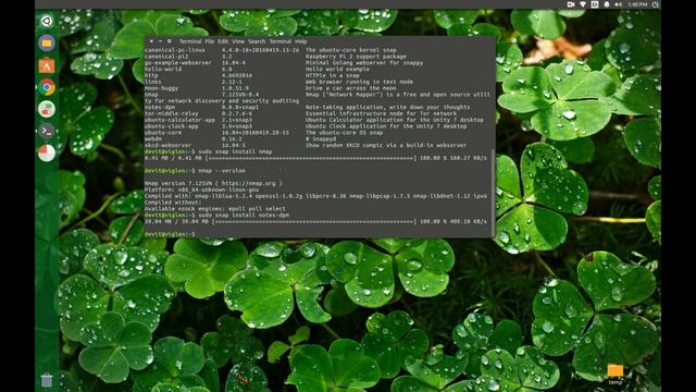 How to use Ubuntu snap package manager смотреть онлайн
