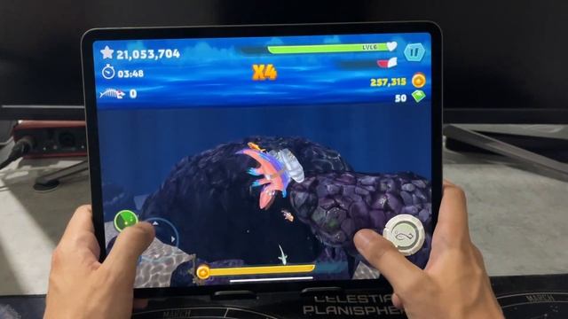Hungry Dragon - Hungry Shark Evolution (HS Evo) - Hungry Shark World (HungryShark iOS Games) смотреть онлайн
