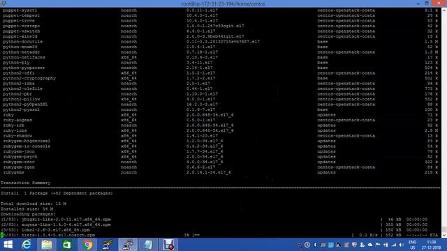 Install RHOSP Openstack on Centos смотреть онлайн