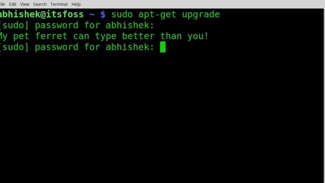 Fun with Linux Terminal [Part 1: sudo insult] смотреть онлайн