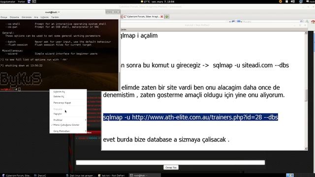 kali linux sqlmap kullanimi смотреть онлайн