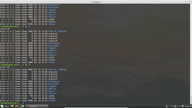 Linux básico - Aula 15 - Limpando a tela com o comando clear e as teclas ctrl + l смотреть онлайн