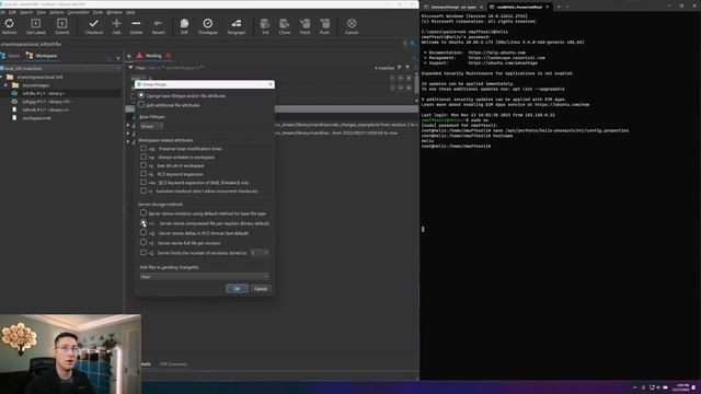 File Types and How to Use the Perforce Helix Core Typemap смотреть онлайн