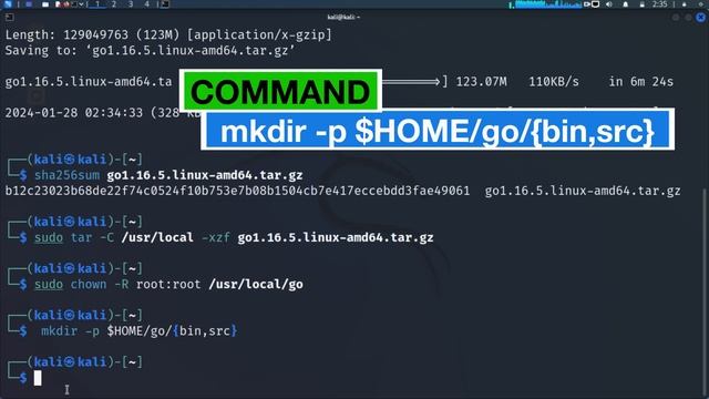 GOLANG LANGUAGE INSTALL IN KALI LINUX 2024 смотреть онлайн