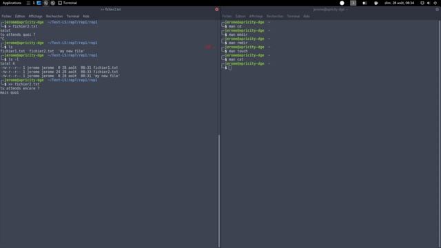 Les commandes de base Linux смотреть онлайн