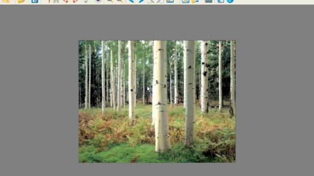 Recadrer une image dans XnView смотреть онлайн