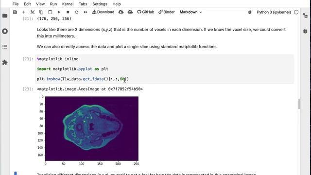 Binder interactive Jupyter Notebook смотреть онлайн