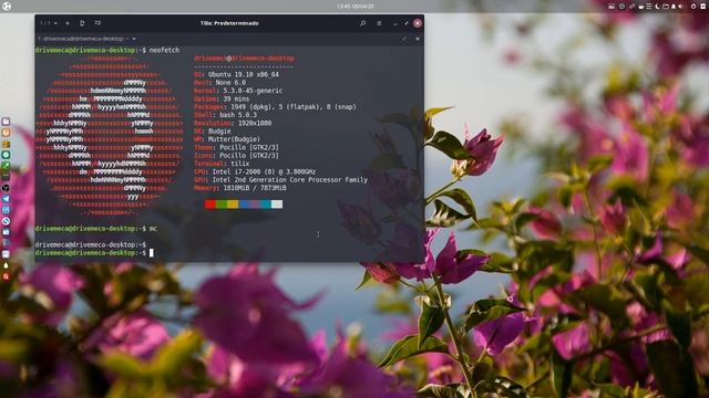 TOP 2020 apps favoritas en Linux - DIRECTO смотреть онлайн