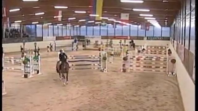 BACARDI ORANGE DE MUZE 2001 stallion CENTO X DARCO X JALISCO B смотреть онлайн