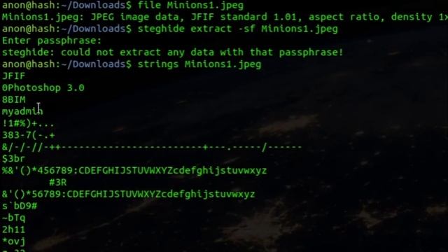 Simple Steganography (CTFlearn) Challenge смотреть онлайн