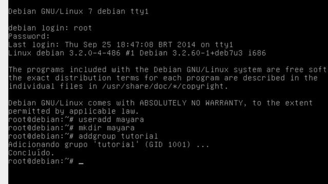 Comandos Basicos Linux Debian 7 - Modo texto смотреть онлайн