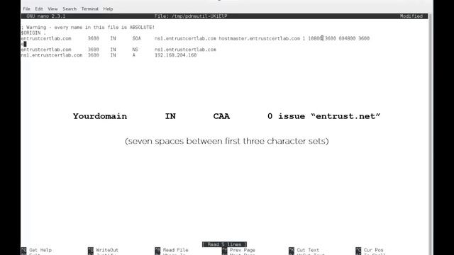 How to add a Certification Authority Authorization (CAA) record in PowerDNS смотреть онлайн