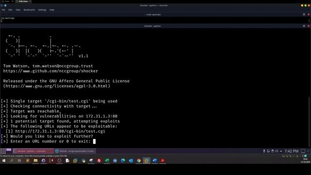 Demonstrating Web Application Vulnerabilities - Cyberseclabs Shock смотреть онлайн
