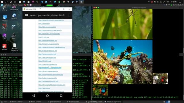 how to intercept someone's traffic | kali linux | mitm |arpspoof смотреть онлайн