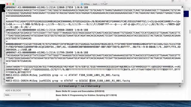 Introduction to 'GREP' смотреть онлайн