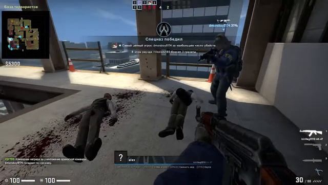 Counter-Strike: поиск читаков смотреть онлайн