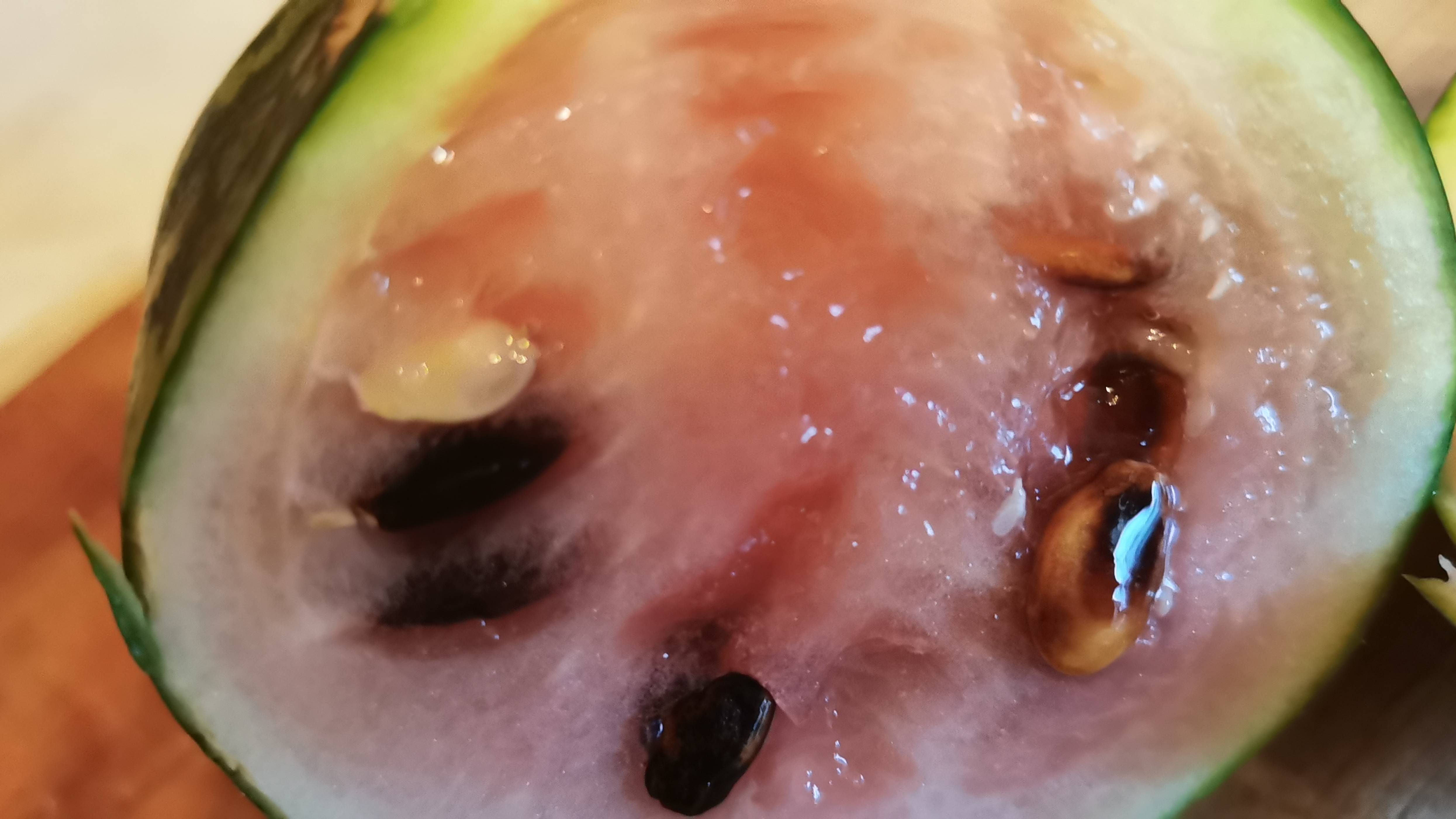 Крайний Арбуз зарезан и выпотрашен на семена для 2025