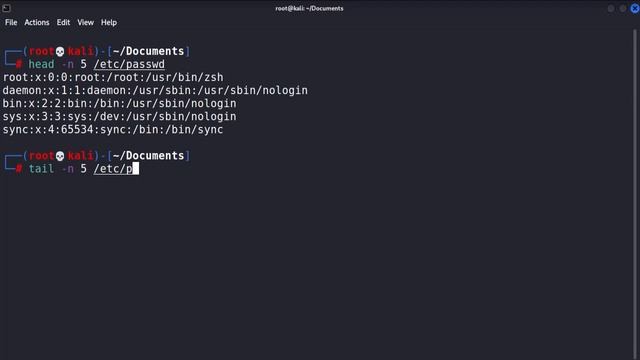 Beginners Guide to Kali Linux Part 13 - Reading File Contents смотреть онлайн