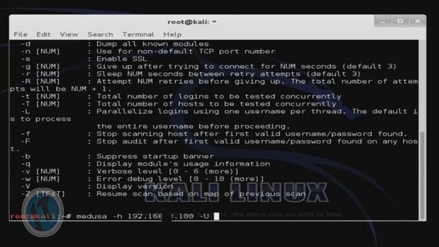 Kali Linux Lesson 3 Bruteforce FTP 2016-2017 смотреть онлайн