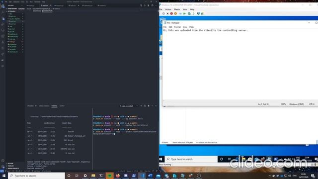 Write a HTTPS Reverse Shell смотреть онлайн