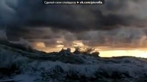 Певица Света)Птица)Супер)