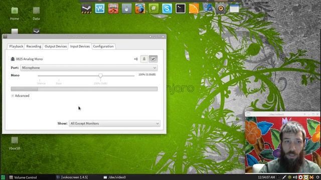 Manjaro pavucontrol + Pulse audio microphone settings. смотреть онлайн
