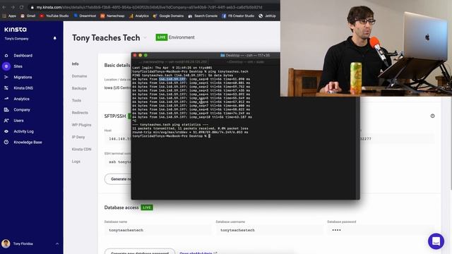 A Comprehensive WordPress Site Migration Tutorial смотреть онлайн