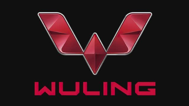 Лучший автомобиль для такси, перевозок людей и грузов Wuling Hongguang обзор и инструкция. смотреть онлайн