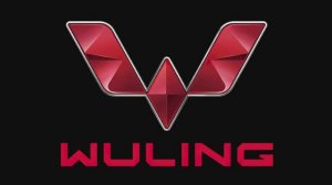 Лучший автомобиль для такси, перевозок людей и грузов Wuling Hongguang обзор и инструкция.