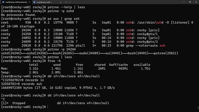 15-Monitor and manage Linux processes смотреть онлайн