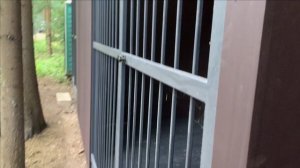 Вольер для собак своими руками.Шедевр готов на 100%